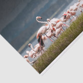 Seidenpapier mit Bild der Flamingos (Ausschnitt)