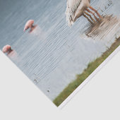 Seidenpapier mit Bild des Pelikan-Plauderns (Ausschnitt)