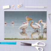 Seidenpapier mit Bild des Pelikan-Plauderns (Handwerk)