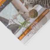 Seidenpapier mit Bild von zwei Katzen (Ausschnitt)