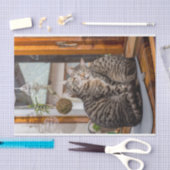 Seidenpapier mit Bild von zwei Katzen (Handwerk)