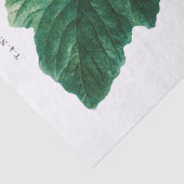 Seidenpapier: PIERRE'JOSEPH REDOUTÉ: Futter Seidenpapier (Detail)