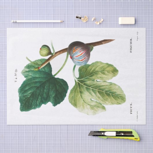 Seidenpapier: PIERRE'JOSEPH REDOUTÉ: Futter Seidenpapier (Handwerk)