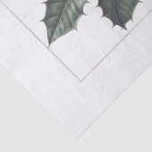 Seidenpapier: PIERRE'JOSEPH REDOUTÉ: HOLLY Seidenpapier (Detail)