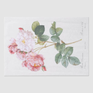 Seidenpapier: PIERRE'JOSEPH REDOUTÉ: ROSEBUSH Seidenpapier