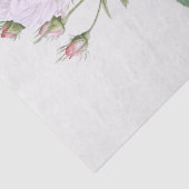 Seidenpapier: PIERRE'JOSEPH REDOUTÉ: WEISSE ROSE Seidenpapier (Detail)