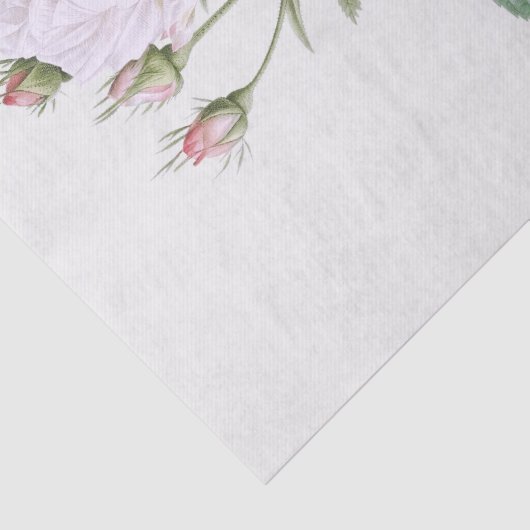 Seidenpapier: PIERRE'JOSEPH REDOUTÉ: WEISSE ROSE Seidenpapier (Detail)