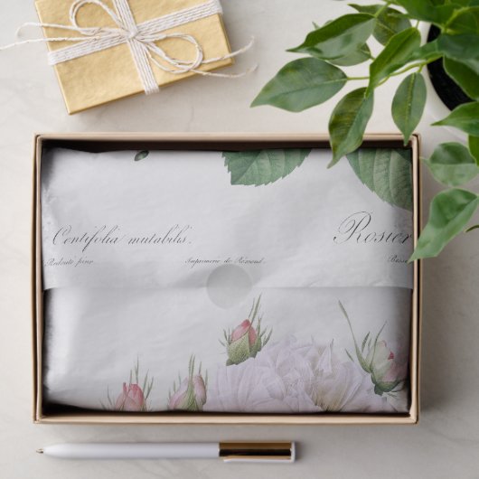 Seidenpapier: PIERRE'JOSEPH REDOUTÉ: WEISSE ROSE Seidenpapier (Geschenk)