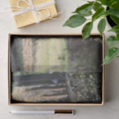 Seidenpapier Texas Longhorn (Geschenk)