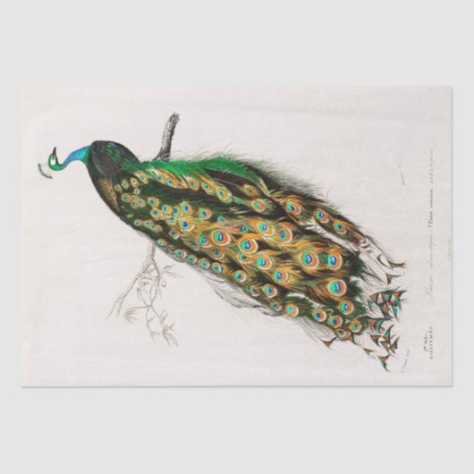 Seidenpapier: VINTAGE INDIAN PEACOCK CHART Seidenpapier (Vorderseite)