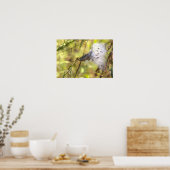 Seidenpflanzen-Fotoplakat Poster (Küche)