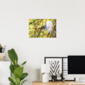 Seidenpflanzen-Fotoplakat Poster (Heimbüro)