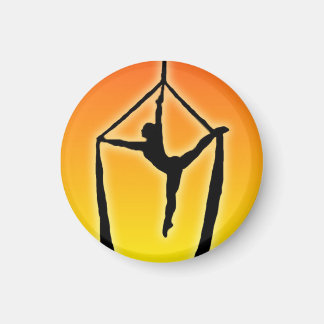 Seidenraupe Silhouette auf Sonnenuntergang Magnet