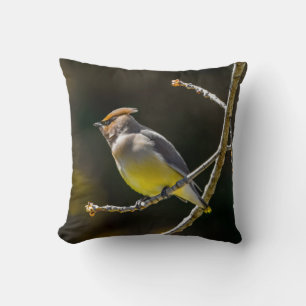 Seidenschwanz Singvogel Original Wildvogel-Foto Kissen