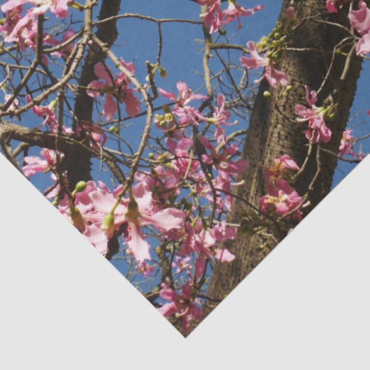 Seidenspinnpapier Seidenpapier (Detail)