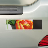 Seidentulip Autoaufkleber (Auf Auto)