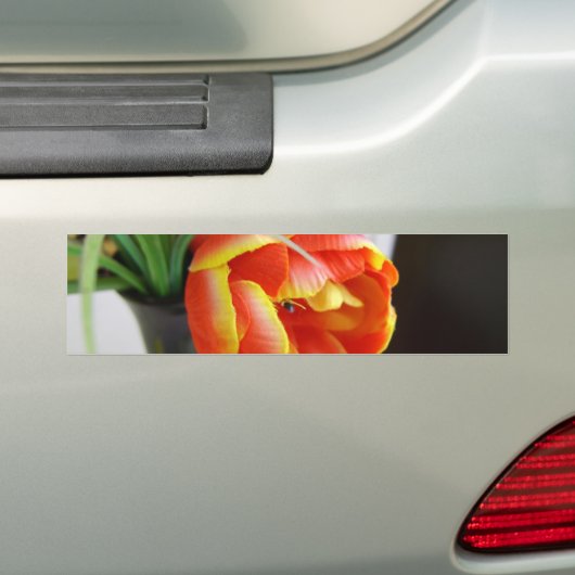 Seidentulip Autoaufkleber (Auf Auto)