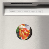 Seidentulip Magnet (In Situ (Geschirrspüler))