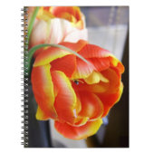 Seidentulip Notizblock (Vorderseite)