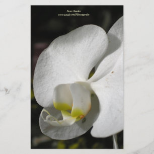 Seidenweiße Orchidee Personalisiert Staionik Briefpapier