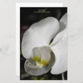 Seidenweiße Orchidee Personalisierte Staionerie Briefpapier (Vorne/Hinten)