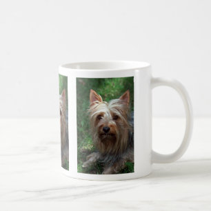 Seidiges Spielzeug Terrier Kaffeetasse