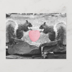 seien Sie Bergwerkeichhörnchen Postkarte