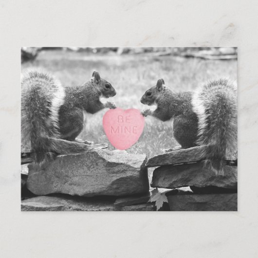 seien Sie Bergwerkeichhörnchen Postkarte (Vorderseite)