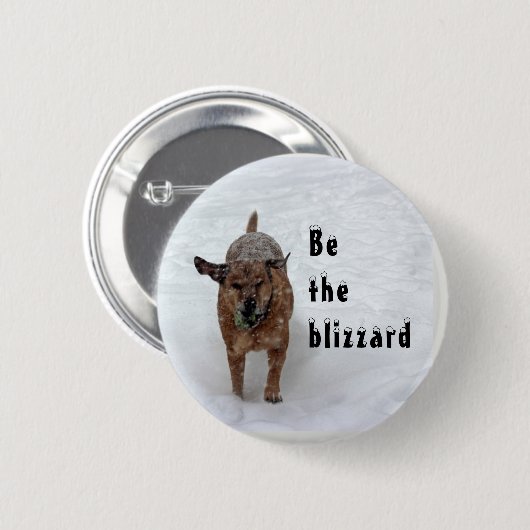 Seien Sie der Blizzard Button (Vorne & Hinten)