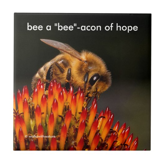 Seien Sie ein "Biene"-Akon der Hope Bee on Echinac Fliese (Vorderseite)