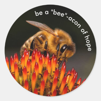 Seien Sie ein "Biene"-Akon der Hope Bee on Echinac Runder Aufkleber