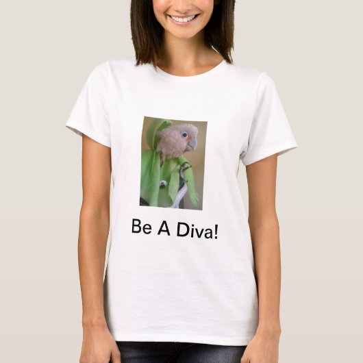 Seien Sie ein Diva-T-Shirt T-Shirt (Vorderseite)