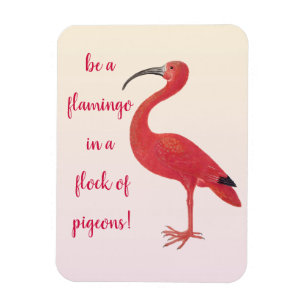 Seien Sie ein Flamingo - Spaß, inspirierend Zitat Magnet