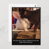 Seien Sie eine Postkarte für Freunde (Vorne/Hinten)