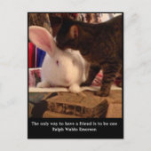 Seien Sie eine Postkarte für Freunde (Vorderseite)