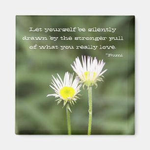 Seien Sie gezeichneter Magnet