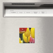Seien Sie glücklich! Magnet helle, farbenfrohe Tul (In Situ (Geschirrspüler))