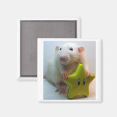 Seien Sie Ihr eigener Star Magnet (Vorderseite/Rückseite)