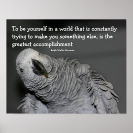 Seien Sie Ihr selbst Zitat Niedlichen Papagei Insp Poster