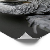 Seien Sie Ihr selbst Zitat Niedlichen Papagei Insp Poster (Ecke)