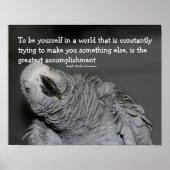 Seien Sie Ihr selbst Zitat Niedlichen Papagei Insp Poster (Vorne)