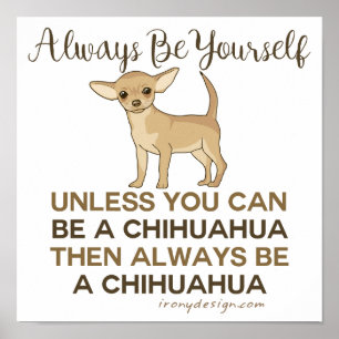Seien Sie immer ein Chihuahua Poster