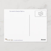 Seien Sie kreative Augenskizze mit farbigen Stifte Postkarte (Rückseite)