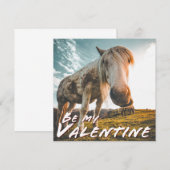 Seien Sie mein Valentine mit dem Blick auf Pferd (Vorne/Hinten)