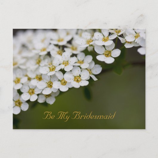 Seien Sie meine Bridesmaid Postcard Spiraea Postkarte (Vorderseite)