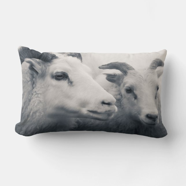 Seien Sie nett Lendenkissen (Vorderseite)