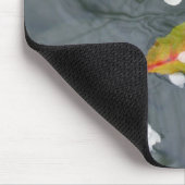 Seien Sie netter… Plato Mousepad (Ecke)