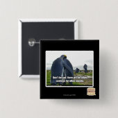 Seien Sie nicht traurig Button (Vorne & Hinten)