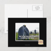 Seien Sie nicht traurig Postkarte (Vorne/Hinten)