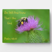 Seien Sie noch Hummel Fotoplatte (Vorderseite)